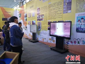 石家莊國際動漫博覽交易會盛大開幕，匯聚12大知名IP賦能產(chǎn)業(yè)新生態(tài)
